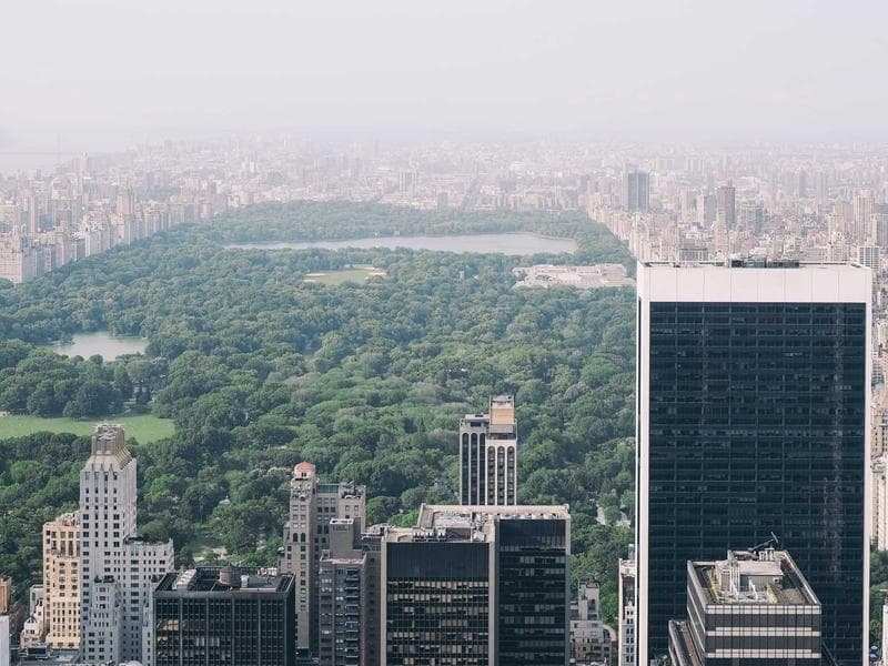 The Reading Room — still