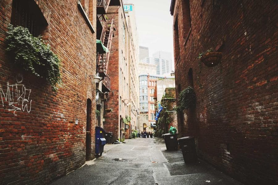 Field Notes — still 2